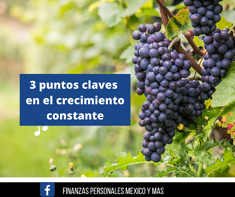 3 puntos claves en el crecimiento constante